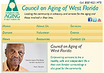Council on Aging Website Screenshot