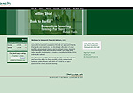 Saltmarsh Financial Advisors Website Screenshot
