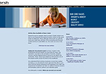 Saltmarsh Cleaveland & Gund Website Screenshot