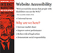 Website Accessibility Website Screenshot
